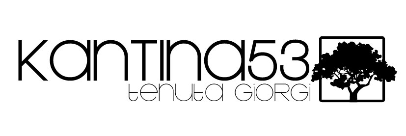 kantina cinquantatr01