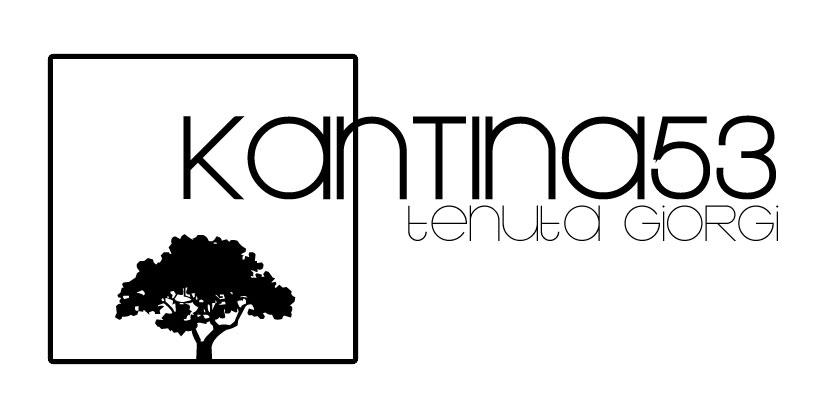 kantina cinquantatr03